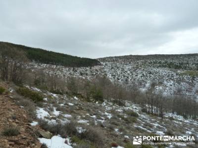 Somosierra - Camino a Montejo;rutas madrid senderismo;rutas de montaña madrid